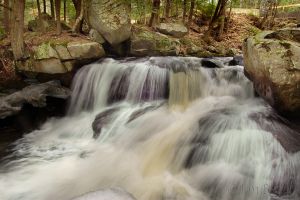24  AQ073-Bicknell-Brook.jpg
